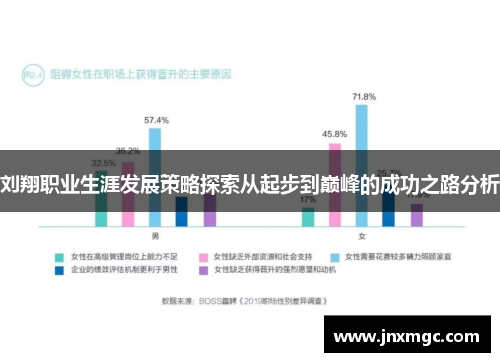 刘翔职业生涯发展策略探索从起步到巅峰的成功之路分析