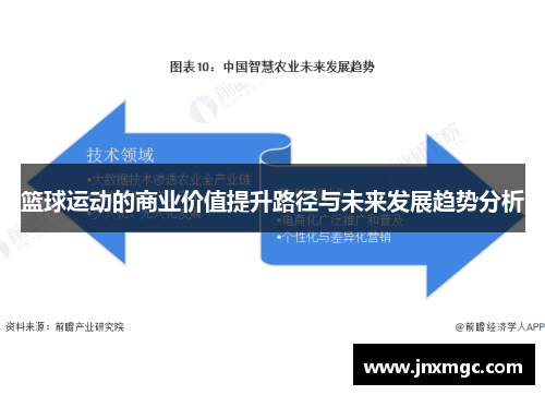 篮球运动的商业价值提升路径与未来发展趋势分析